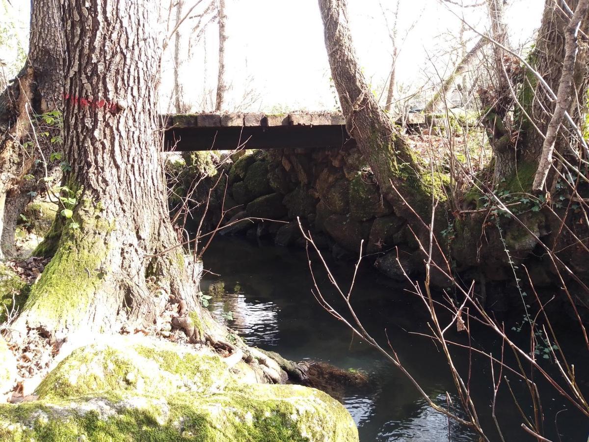 Q.Ta Moinhos Da Ponte Ξενοδοχείο Tábua Εξωτερικό φωτογραφία